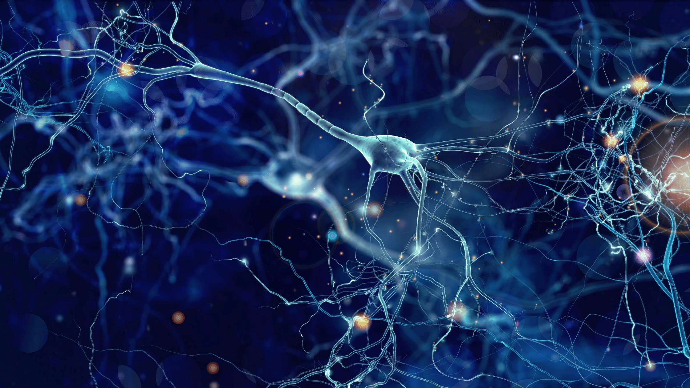 pain and neuroscience