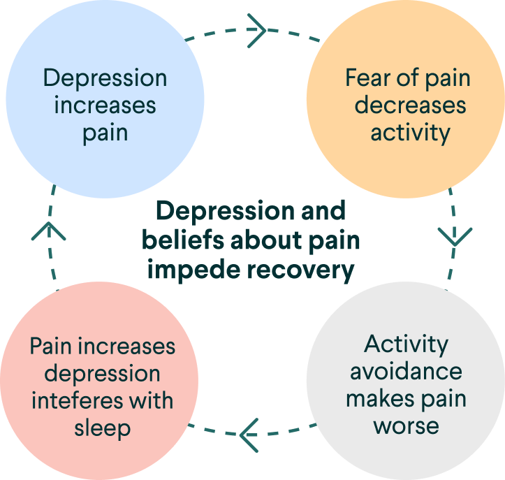pain neuroscience education works